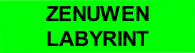 ZENUWEN
LABYRINT